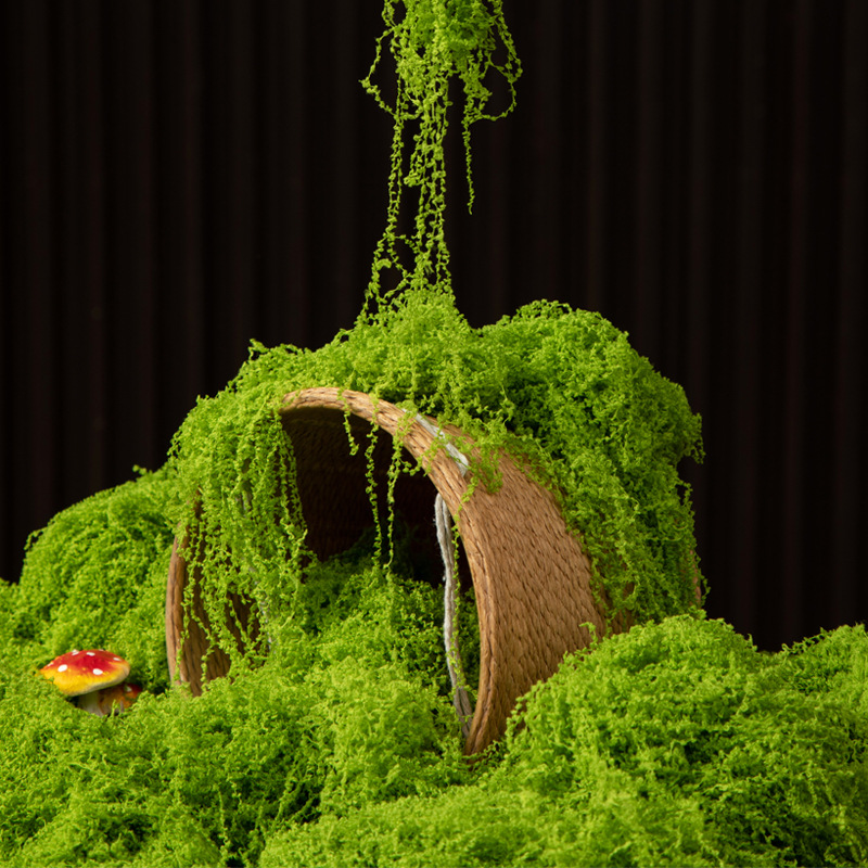 Bonsai Garden Home - 200G Rumput Lumut Kehidupan Abadi DIY