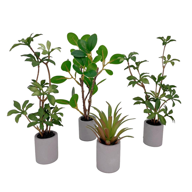Bonsai Garden Ornaments - 1:6 miniatur rumah boneka Pot tanaman