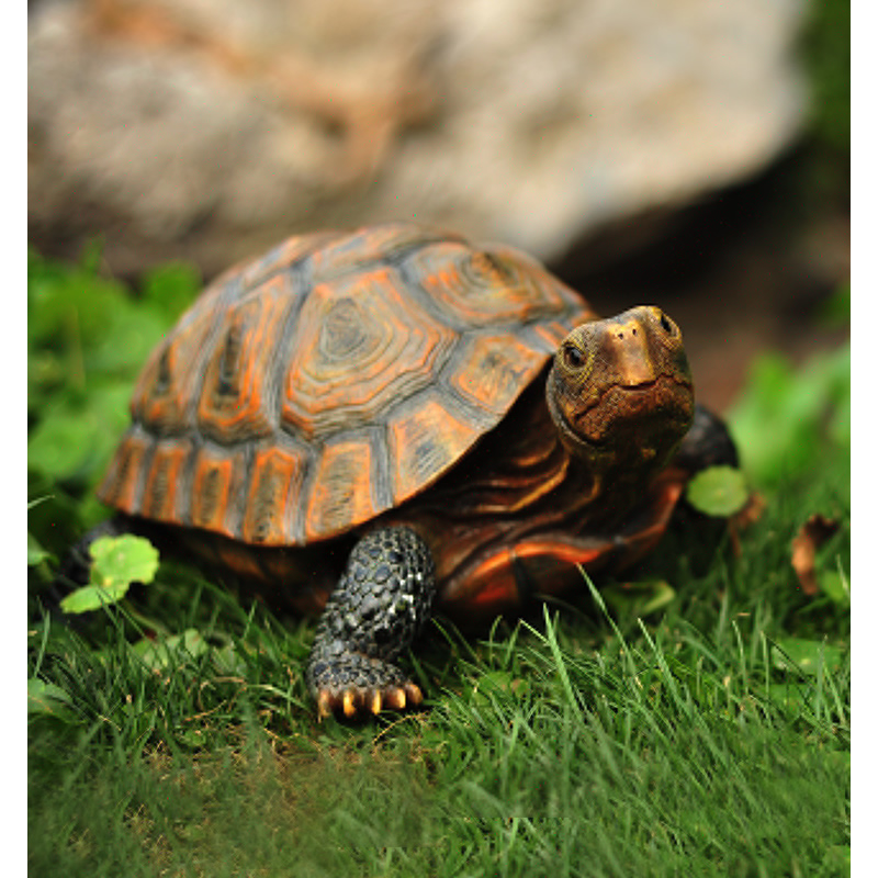 Bonsai Garden With Pond - Cute Resin Tortoise Patung Luar Ruangan
