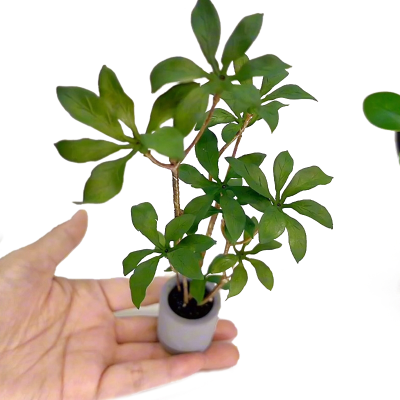 1:6 miniatur rumah boneka Mode - Bonsai Garden Home ulasan dan harga