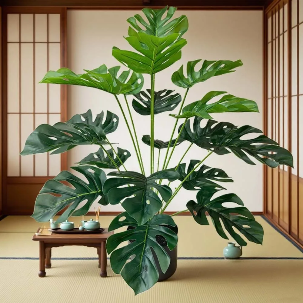 Tanaman Bonsai Daun Kura-Kura  - Bonsai Garden Desk ulasan dan harga