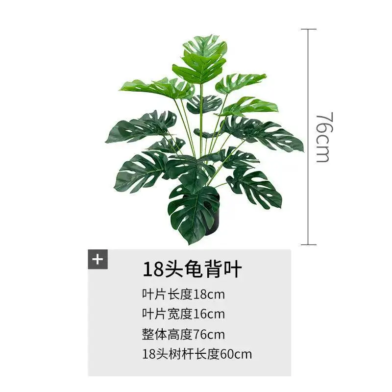Tanaman Bonsai Daun Kura-Kura  - Bonsai Garden Desk ulasan dan harga