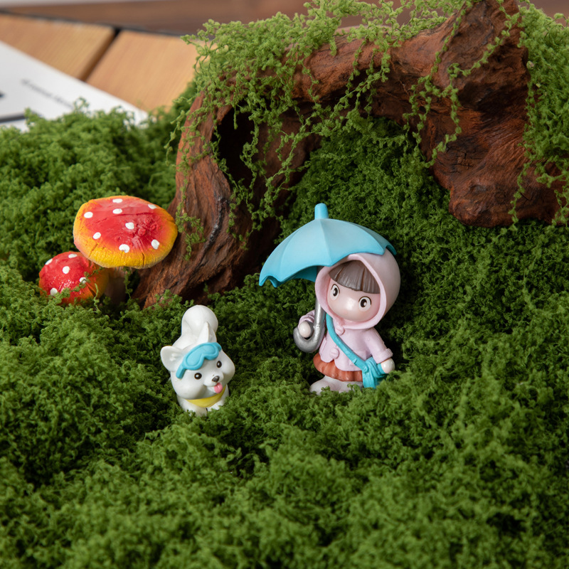 200G Rumput Lumut Kehidupan Ab - Bonsai Garden Home ulasan dan harga