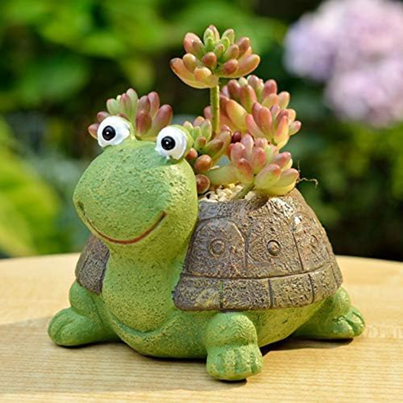 Pot tanaman Bonsai lucu, Pot t - Bonsai Garden Desk ulasan dan harga