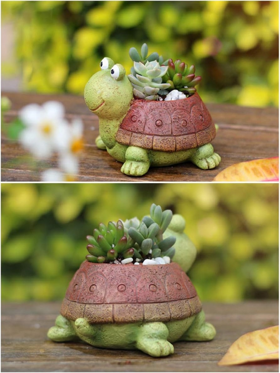 Pot tanaman Bonsai lucu, Pot t - Bonsai Garden Desk ulasan dan harga