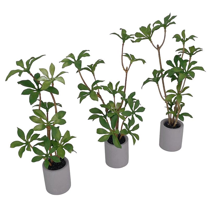 1:6 miniatur rumah boneka Pot  - Bonsai Garden Ornaments ulasan dan harga