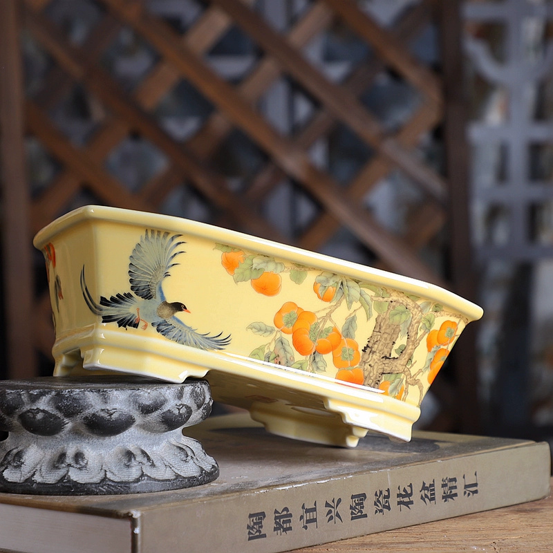 Pot Bonsai persegi panjang por - Bonsai Garden Desk ulasan dan harga