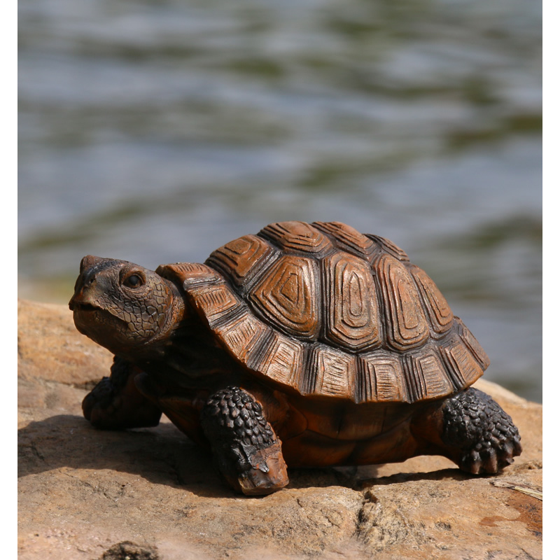 Cute Resin Tortoise Patung Lua - Bonsai Garden With Pond ulasan dan harga