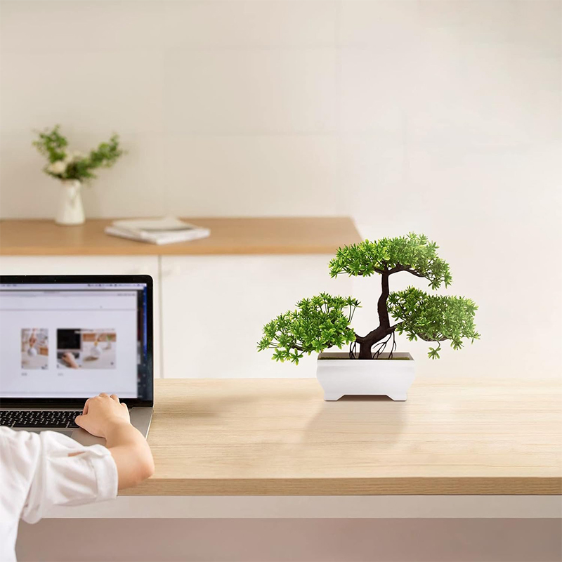 Tanaman Palsu Bionik Plastik B - Bonsai Garden Ideas ulasan dan harga